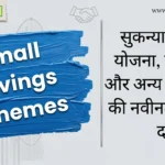 Small Savings Schemes